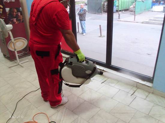 Prestari servicii - dezinsectie,  deratizare