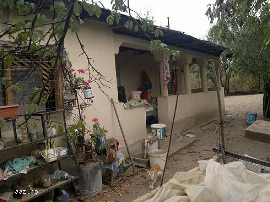 vand casa taraneasca cu teren intravilan mare