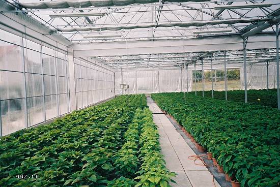 Sere pentru gradini botanice