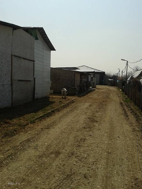 Vand teren si hala