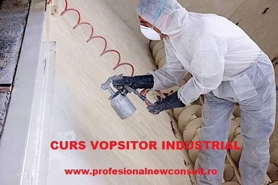 Curs Vopsitor Industrial