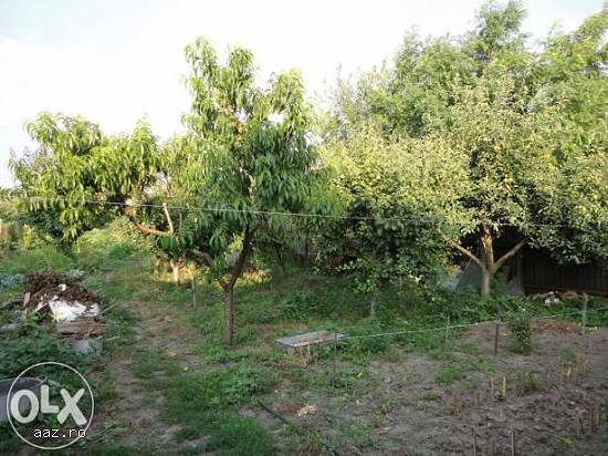 schimb casa  com ivesti cu apartament sau garsoniera