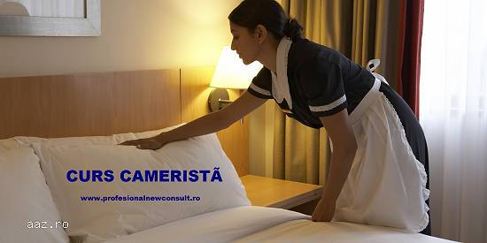 Curs Camerista Hotel