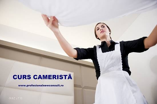 Curs Camerista Hotel