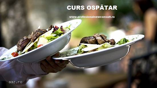 Curs Ospatar