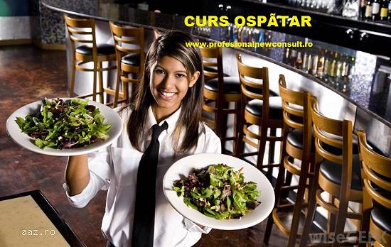 Curs Ospatar