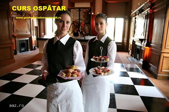 Curs Ospatar