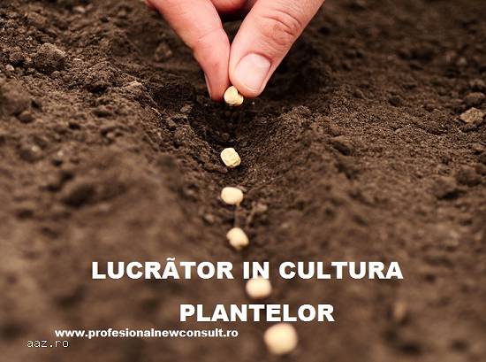 Curs Lucrator in Cultura Plantelor
