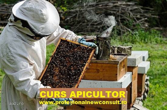 Curs Apicultor