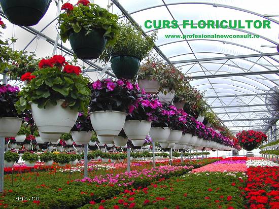 Curs Floricultor / Peisagist