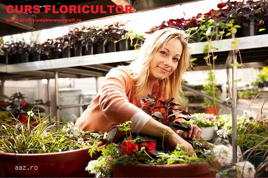 Curs Floricultor / Peisagist