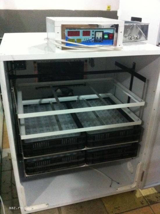 incubator oua