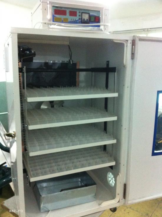 incubator oua