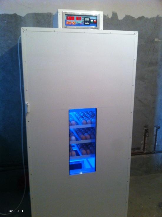 incubator oua
