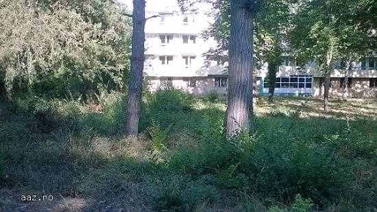 Vanzare teren intravilan Venus,  Constanta