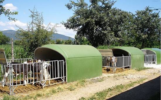 Boxe noi,   din fibra pentru Vitei