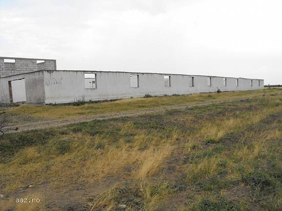 Ferma cu suprafata 5000 mp