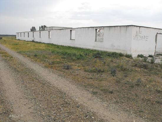 Ferma cu suprafata 5000 mp