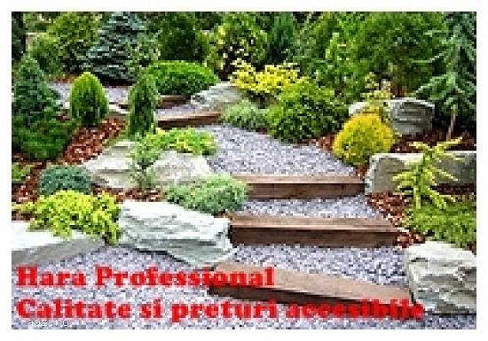 Amenajari interioare si exterioare Brasov