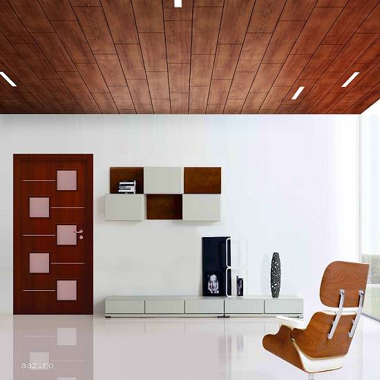 Usi interior