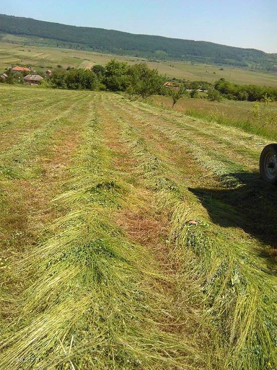 Vand cositoare rotativa pentru tractor masa taiere 1, 65