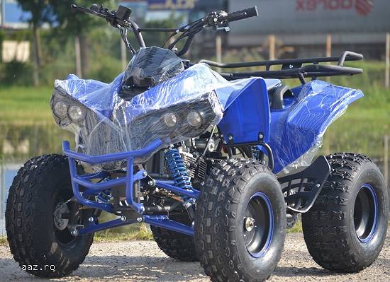 ATV 125cc Renegade 2w4 Import germania 2015