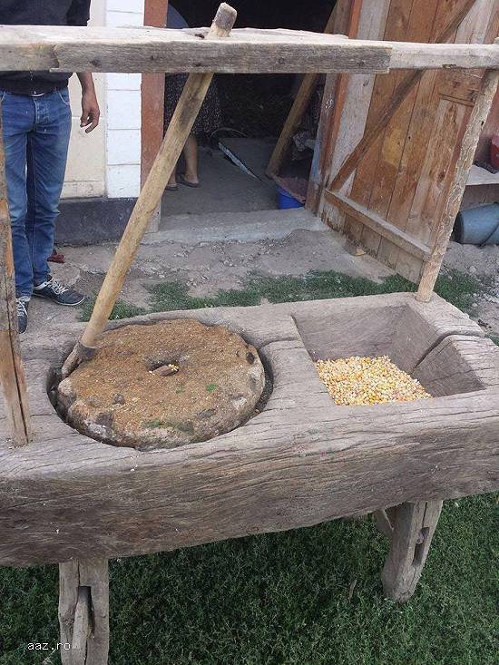 Vând râșniță cereale - piesă muzeu