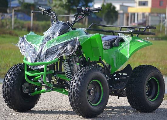 Model Nou:ATV  Renegade 125 CC OffRoad2015pro1