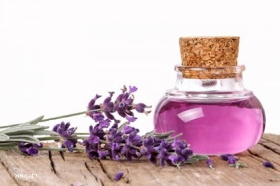 Vand butasi lavanda Sevtopolis 2017-Producător