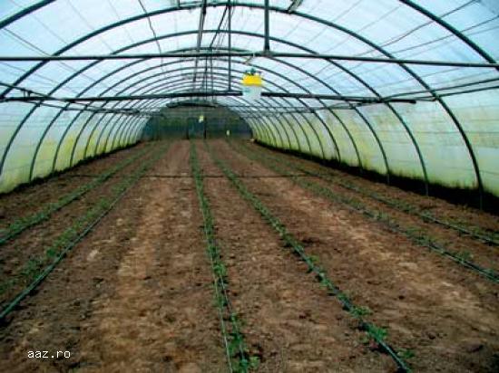 solarii ieftine pt legume sau flori