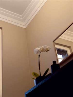 Profile decorative din poliuretan si polimer dur