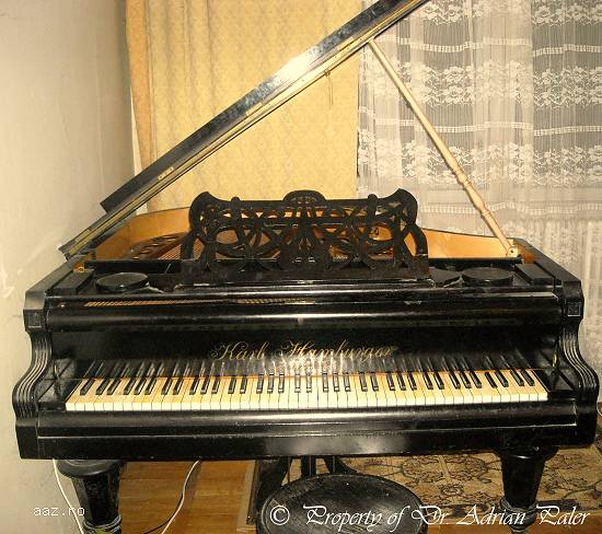 Pian Karl Hamburger- Rosler,      Art Nouveau,     1875 ,     Wien ( obiect de patrimoniu)