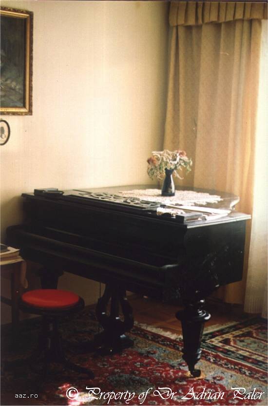Pian Karl Hamburger- Rosler,      Art Nouveau,     1875 ,     Wien ( obiect de patrimoniu)