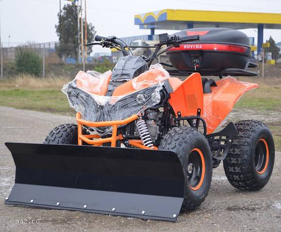 ATV WARRIOR Renegade 125 Import Germany