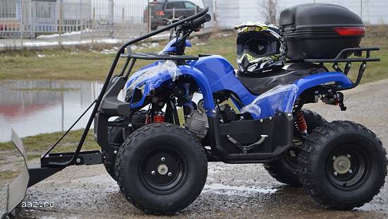ATV WARRIOR Grizzly 125 Import Germany