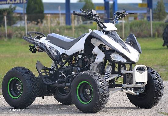 ATV WARRIOR Raptor 125 Import Germany