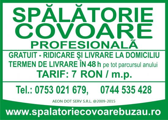 SPALATORIE COVOARE BUZAU