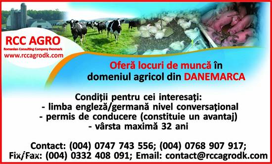 Locuri de munca in Danemarca