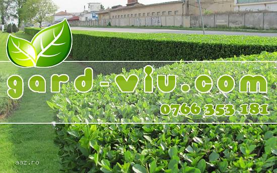GARD VIU