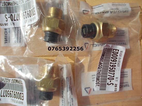 Termostat Microcar Ligier Bellier JDM