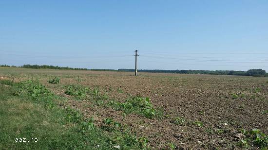 Teren de vanzare zona TITI AUR Crevedia