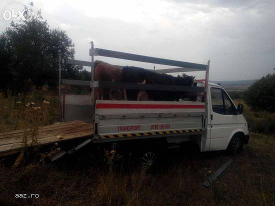 ofer transport