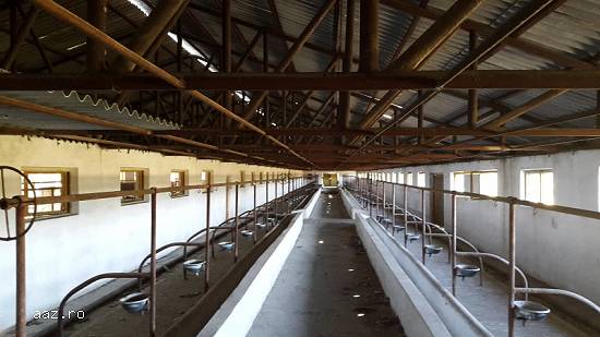 Ferma zootehnica Spatiu de productie Depozite Baza agricola