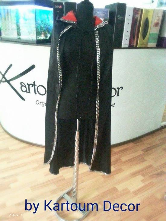 INCHIRIERI COSTUME