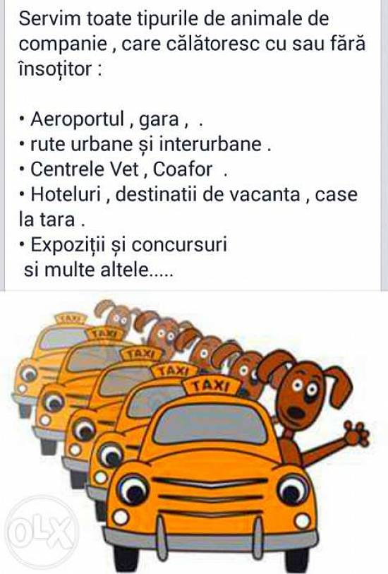 transport animale de companie