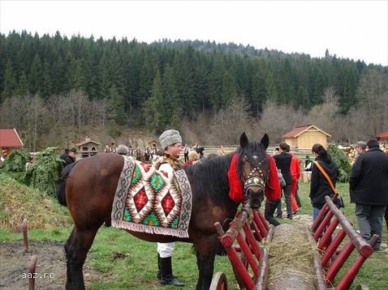 Bucovina | Craciun,  Revelion - Pensiunea Valcan 4* !