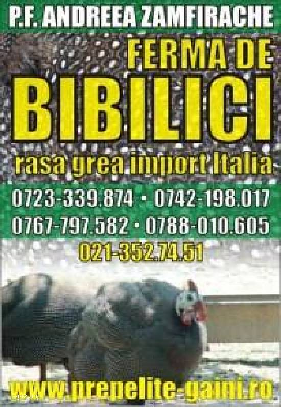 BIBILICI DE VANZARE