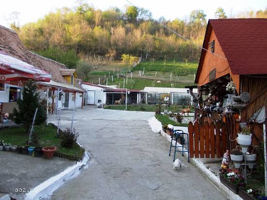 De vanzare casa saseasca cu 6 camere si 2051 mp teren