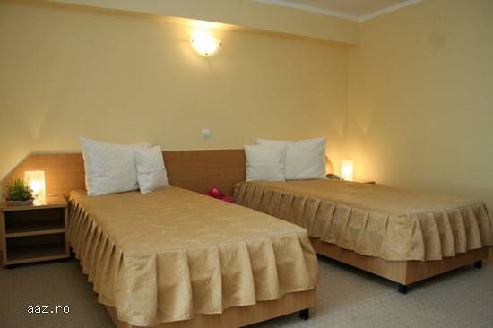 Sibiu,  Revelion 2016- Hotel Apollo Hermannstadt 3*