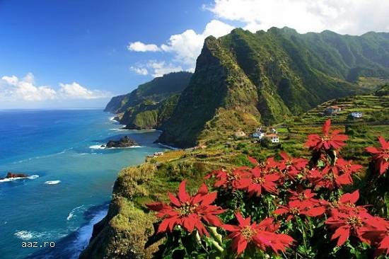 Madeira-Perla Atlanticului & Lisabona-cel mai romantic oras din Europa